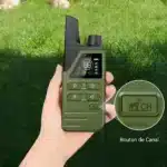 Collier de dressage electrique pour chiens avec télécommande