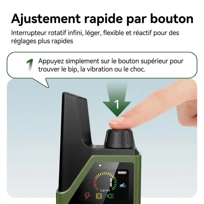 Collier de dressage electrique pour chiens avec télécommande