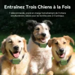 Collier de dressage electrique pour chiens avec télécommande