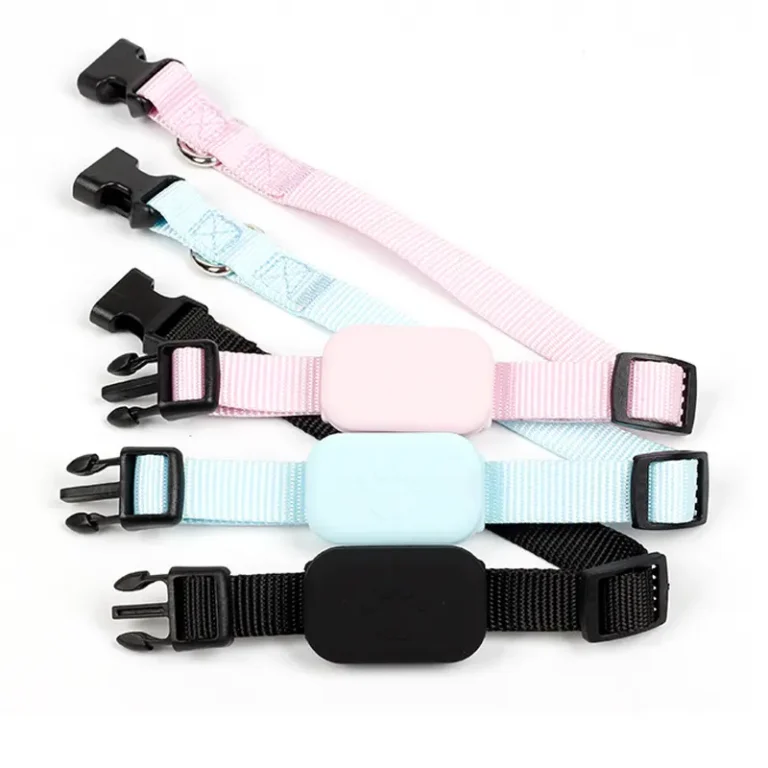 Collier Traceur pour Animaux de Compagnie - suivi temps réel pour Apple