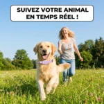 Collier Traceur pour Animaux de Compagnie - suivi temps réel pour Apple