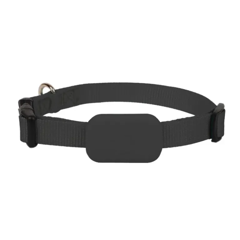 Collier Traceur pour Animaux de Compagnie - suivi temps réel pour Apple