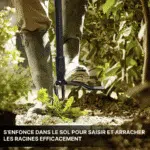 Désherbeur Mécanique