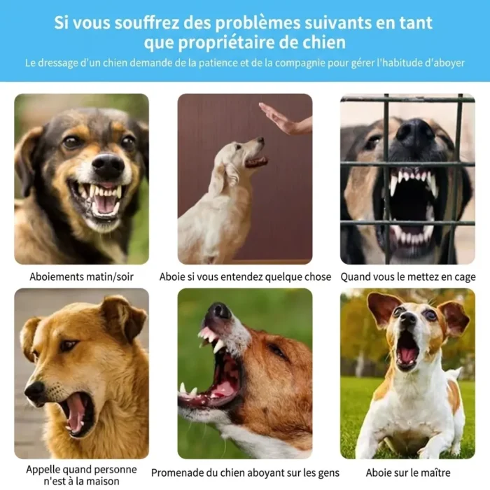 Collier Anti Aboiement Intelligent Autonome