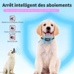 Collier Anti Aboiement Intelligent Autonome