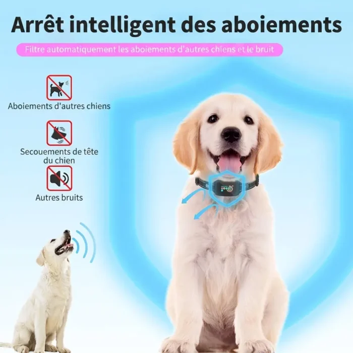 Collier Anti Aboiement Intelligent Autonome