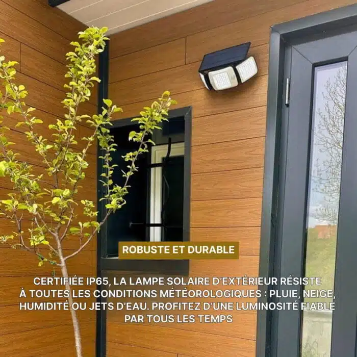 Lampe Solaire Extérieure Avec Détecteur De Mouvement