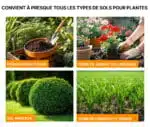 Testeur De Sol Pour Plantes 3-en-1 - Humidité - PH - Nutriments