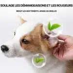 Nettoyant Oreille Pour Chien Et Chat - Produit Auriculaire