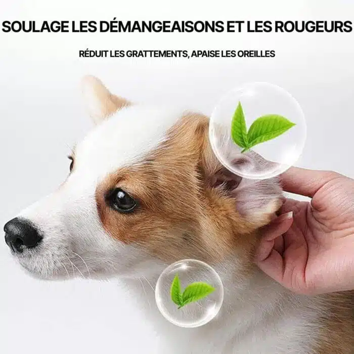 Nettoyant Oreille Pour Chien Et Chat - Produit Auriculaire