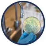 Filtre à Eau Pour Robinet - Purificateur Au Goût Agréable