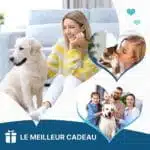 Nettoyant Oreille Pour Chien Et Chat - Produit Auriculaire