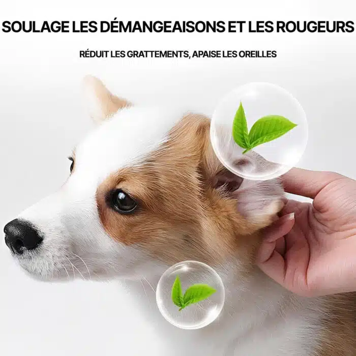 Nettoyant Oreille Pour Chien Et Chat - Produit Auriculaire