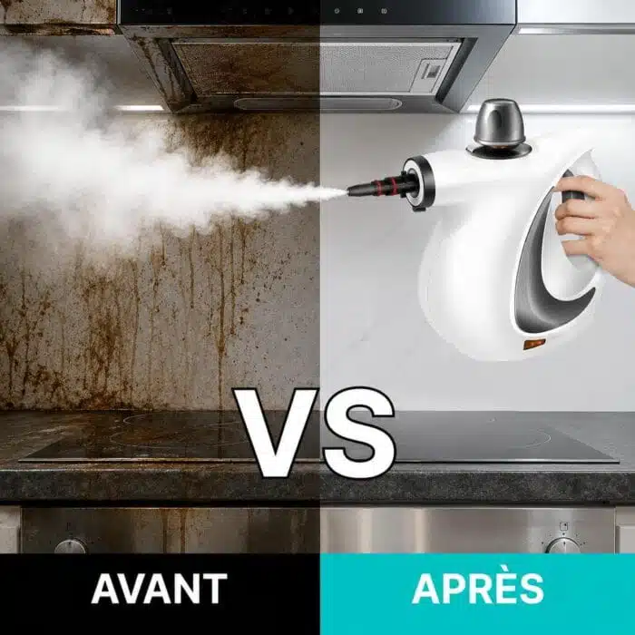 Nettoyeur Vapeur Haute Pression Portable Puissant