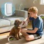 Purificateur D'Air Ioniseur Portable Sans Filtre