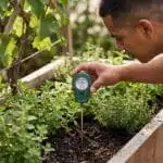 Testeur De Sol Pour Plantes 3-en-1 - Humidité - PH - Nutriments