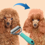Brosse Pour Chat Et Chien Poils Longs - Peigne Anti-Poils