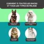 Brosse Pour Chat Et Chien Poils Longs - Peigne Anti-Poils
