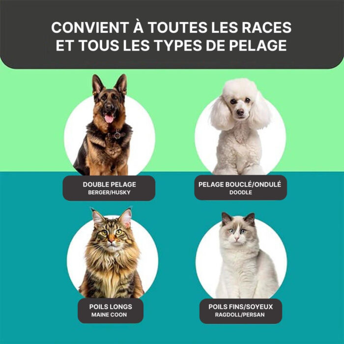 Brosse Pour Chat Et Chien Poils Longs - Peigne Anti-Poils