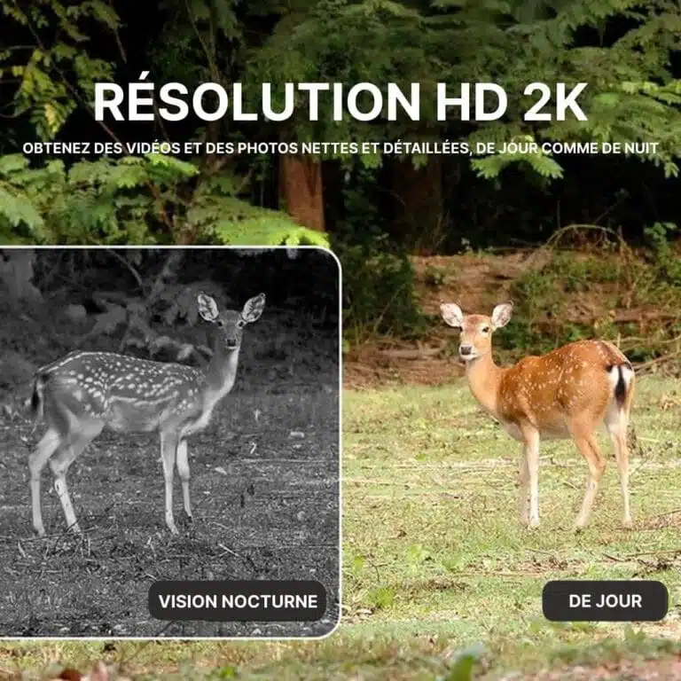 Caméra De Surveillance Extérieure Solaire - Rotation 360° et vision nocturne 2K