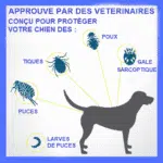 Collier Antiparasitaire Pour Chien