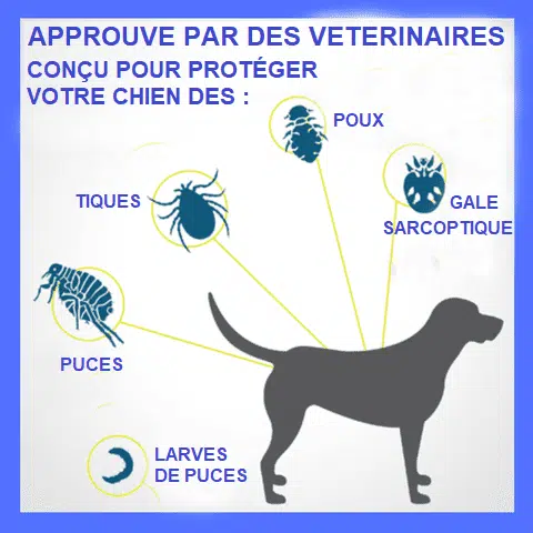 Collier Antiparasitaire Pour Chien