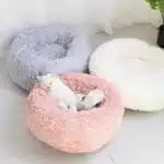 Lit En Peluche Doux Et Moelleux - Pour Chat Et Chien
