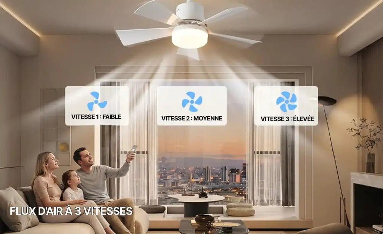 Ventilateur Pour Plafond Avec Lumière Silencieux