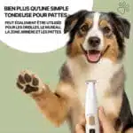 Tondeuse Pour Pattes De Chien Électrique Silencieuse