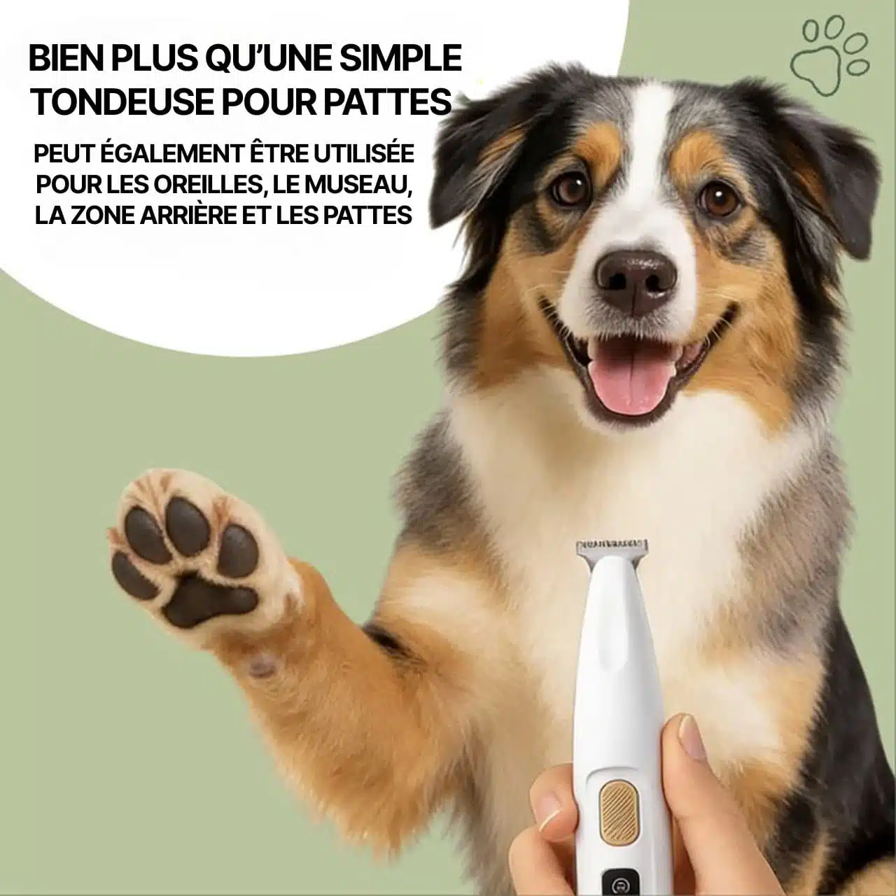 Tondeuse Pour Pattes De Chien Électrique Silencieuse