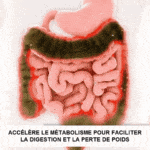 Culotte Gainante Ventre Plat