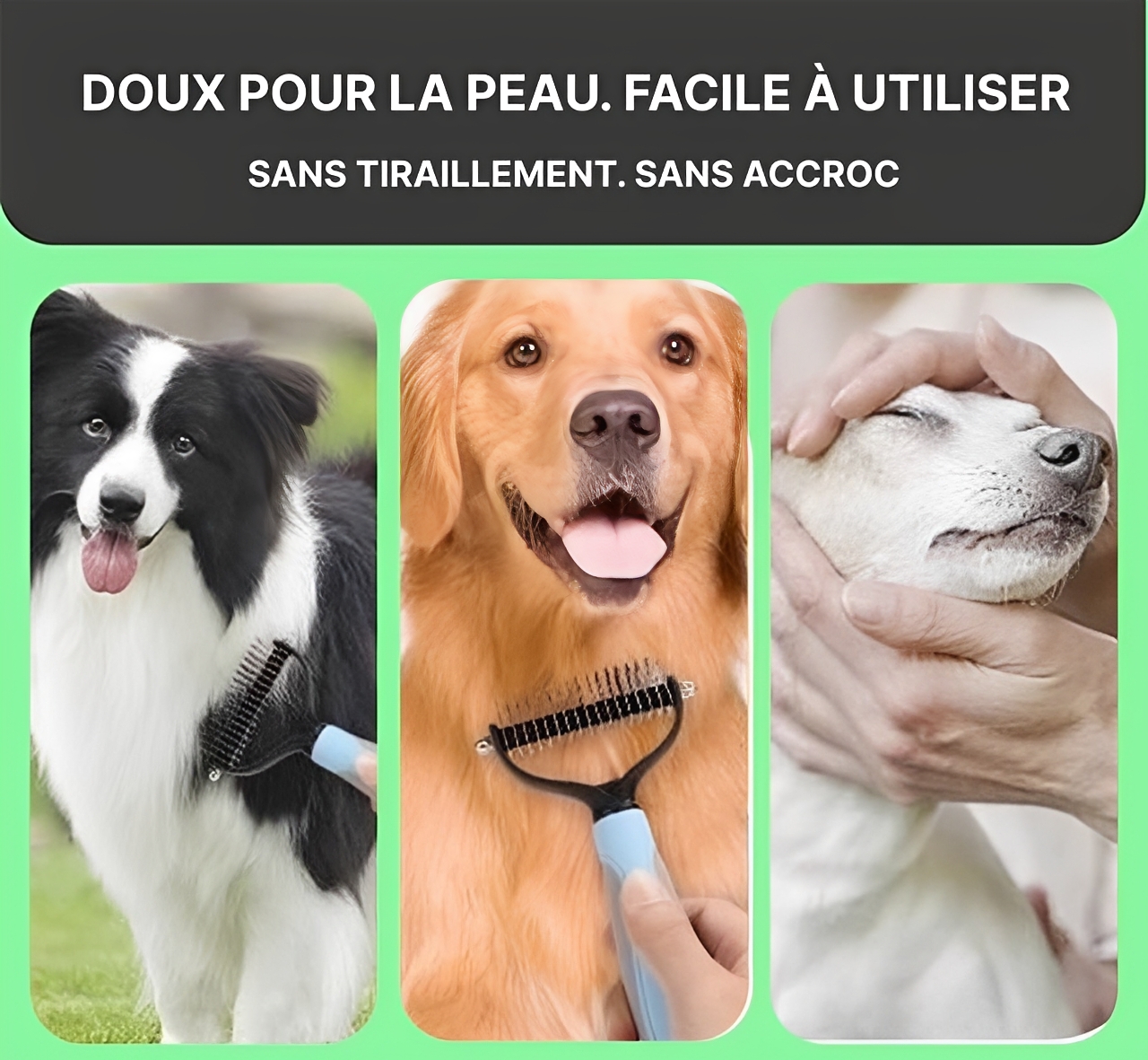 Brosse Pour Chat Et Chien Poils Longs - Peigne Anti-Poils