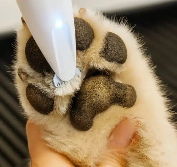 Tondeuse Pour Pattes De Chien Électrique Silencieuse