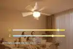 Ventilateur Pour Plafond Avec Lumière Silencieux