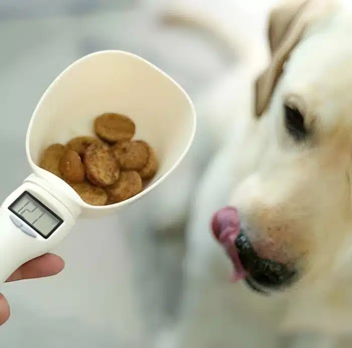 Pelle Alimentaire Numérique Pour Animaux Domestiques (chien et chat)