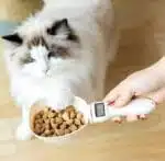 Pelle Alimentaire Numérique Pour Animaux Domestiques (chien et chat)