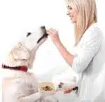 Pelle Alimentaire Numérique Pour Animaux Domestiques (chien et chat)