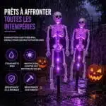 Squelette Halloween Lumineux D'Extérieur