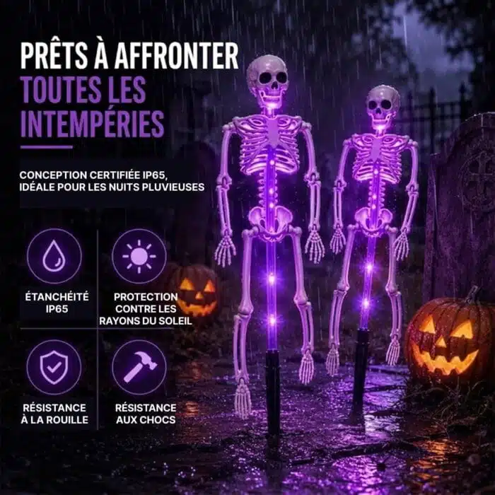 Squelette Halloween Lumineux D'Extérieur