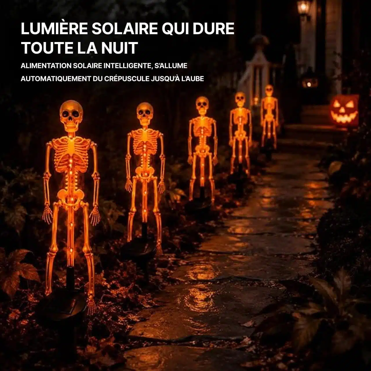 Squelette Halloween Lumineux D'Extérieur