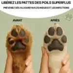 Tondeuse Pour Pattes De Chien Électrique Silencieuse