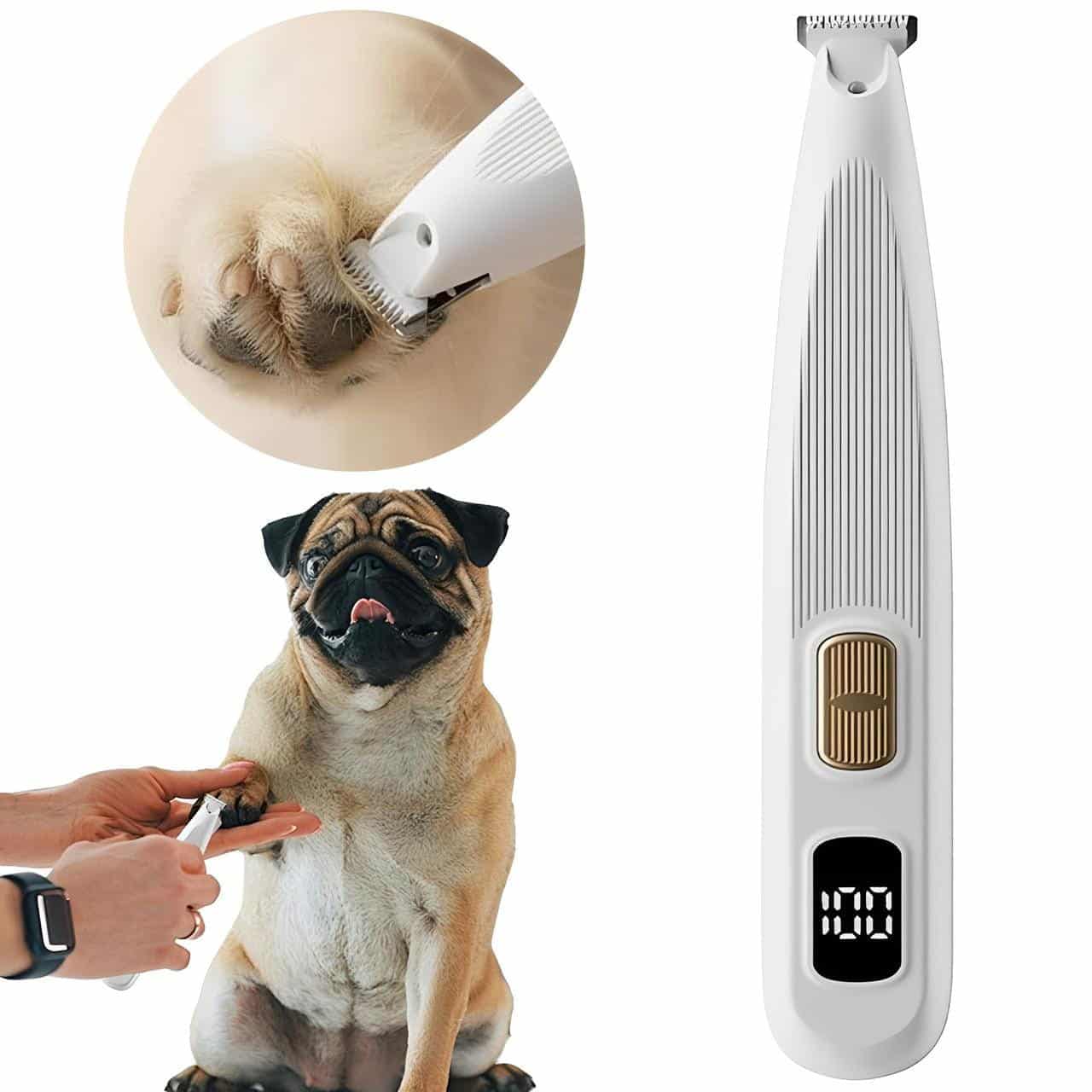 Tondeuse Pour Pattes De Chien Électrique Silencieuse Tondeuse Pour Pattes De Chien Électrique Silencieuse
